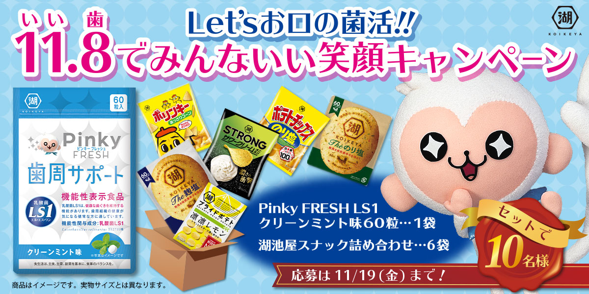 後払い手数料無料】 湖池屋 乳酸菌LS1 パウダーヒアルロン酸プラス