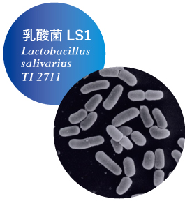 乳酸菌LS1とは｜これからは歯みがきプラス乳酸菌！コイケヤLS1ショップ